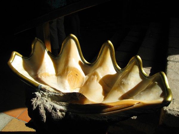 MORNAC-SUR-SEUDRE :  LA PERLE DU PAYS ROYANNAIS.